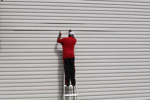 Best Custom Trim and Detailing for Siding  in Monroe, MI