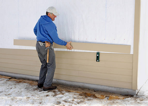 Affordable Siding Repair and Maintenance Services in Monroe, MI